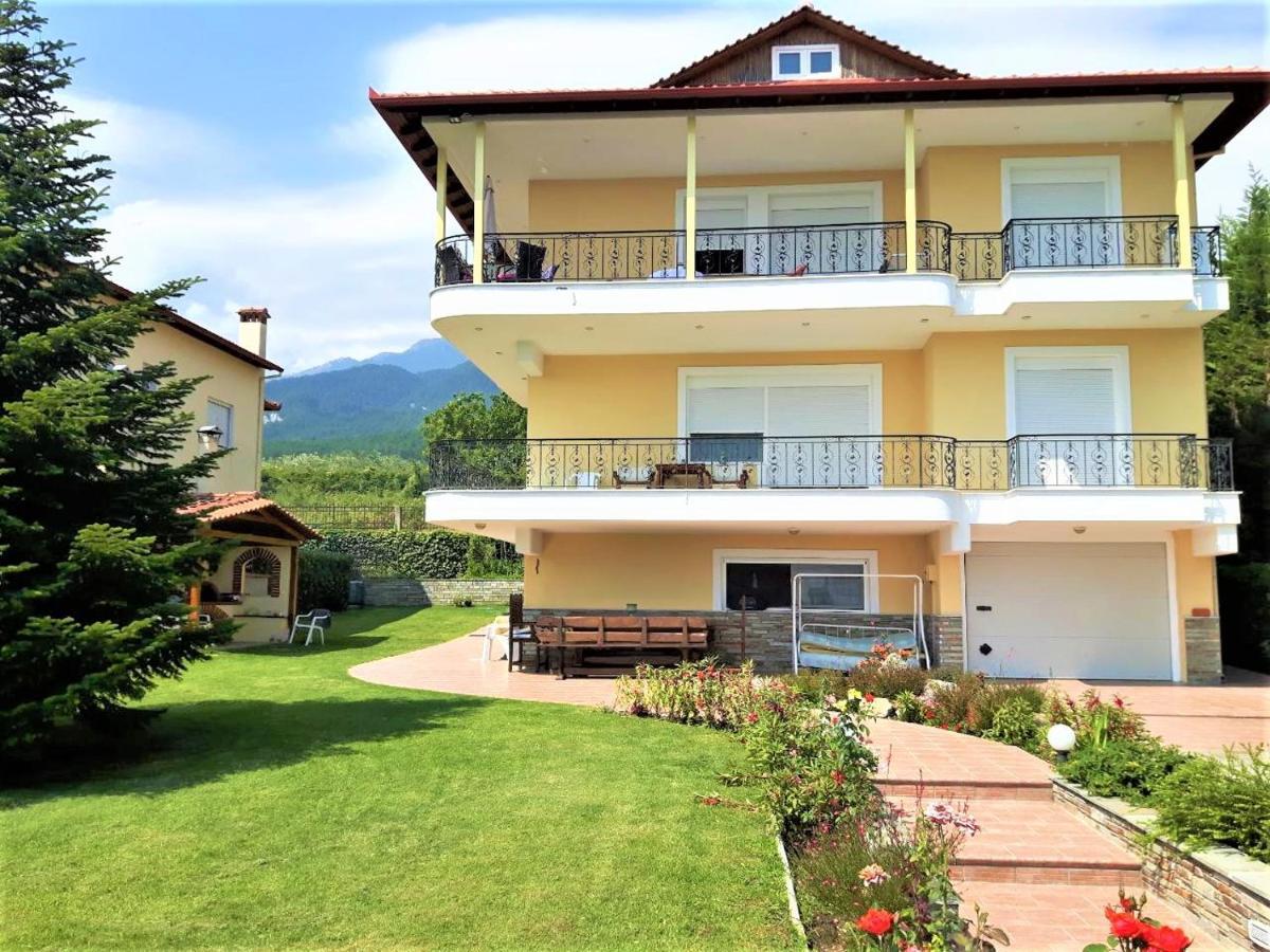 Apartment Achilles Litochoro Zewnętrze zdjęcie