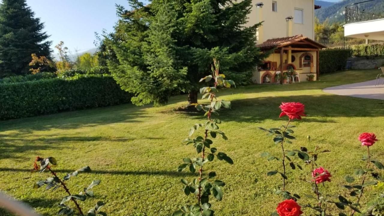 Apartment Achilles Litochoro Zewnętrze zdjęcie